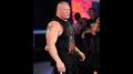 Lesnar Accepts HHH challenge - wwe photo