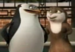 S&M  - penguins-of-madagascar icon