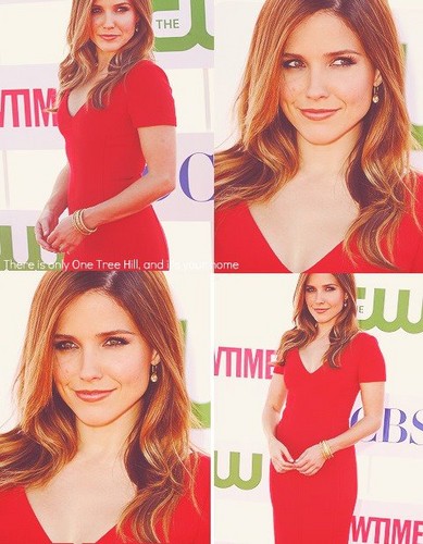  Sophia ブッシュ at CBS, CW, Showtime TCA Party in Beverly Hills, 07/29/12