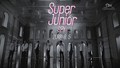 super-junior - Super Junior "SPY" MV Teaser wallpaper