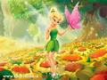 THANKS 4 AGGREEING WITH ME THAT I AM A BIGGER TINKERBELL FAN THAN mollytinks1fan (NOT TINKS 1 FAN)!! - tinkerbell photo