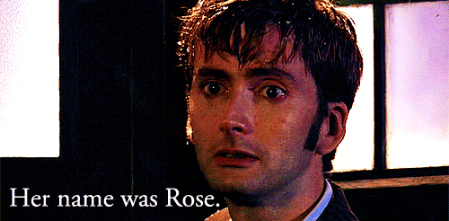 The-Doctor-the-tenth-doctor-31656616-500-246.gif