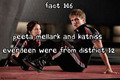 The Hunger Games facts 101-120 - the-hunger-games fan art