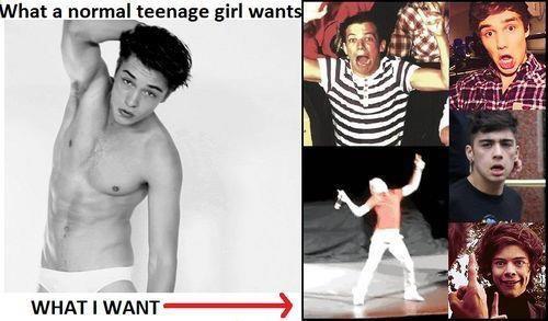  What directioners want