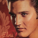 Elvis Icon - elvis-presley icon