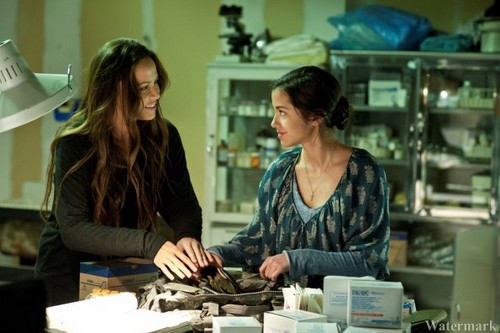  Falling Skies 2x10 - A もっと見る Perfect Union