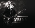 muse - MUSE wallpaper