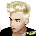 New Adam Lambert do!! <3 - adam-lambert photo