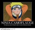 Ninja Camoflauge - anime photo