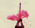 Paris - daydreaming photo