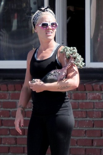 Pink Buys a Bonsai Tree [August 9, 2012]
