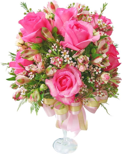  pink Roses for Lily