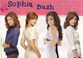 Sophia Bush - sophia-bush fan art