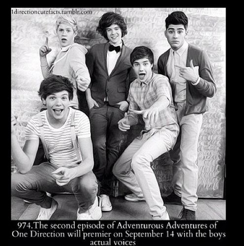  The Adventurous Adventures of One Direction