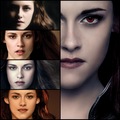 The Evolution of  - twilight-series fan art