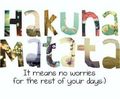 hakuna matata - the-lion-king fan art