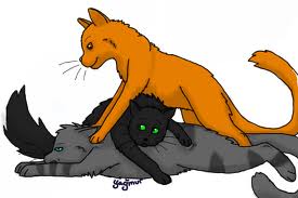  warrior Cats forever