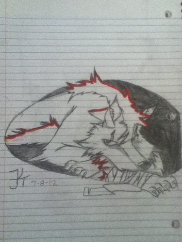 lobo art that i have done over the past mes