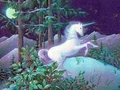 Amongst The Berries - unicorns photo