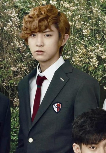  Chanyeol for To The Beautiful You!