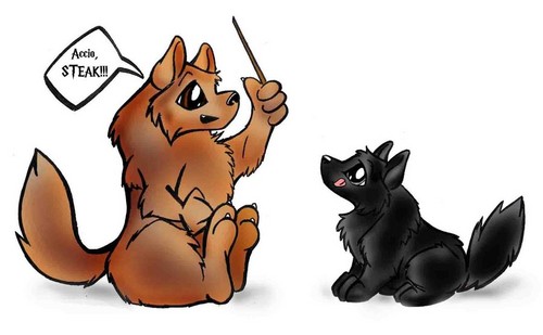  Cute Moony and Padfoot!