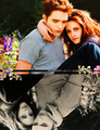 Edward & Bella - twilighters fan art