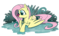 FLUTTERDUMP - my-little-pony-friendship-is-magic photo