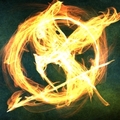 Flaming Mockingjay - the-hunger-games photo