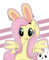 FlutterDump - my-little-pony-friendship-is-magic photo