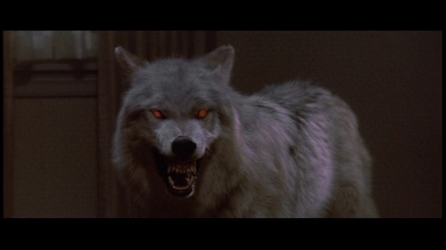 Fright Night wolf