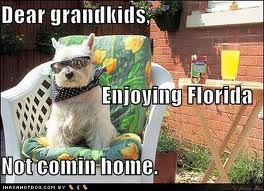 Funny Florida