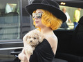 Gaga arriving in Vienna - lady-gaga photo