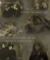 HRH - harry-ron-and-hermione fan art