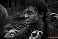 Harry Potter and Deathly Hallows BTS Photo - daniel-radcliffe photo