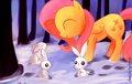 I TOLD YOU. I HATE LOSING. - my-little-pony-friendship-is-magic photo