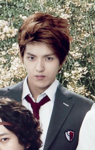  Kris for To The Beautiful You!