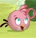 Pink Bird - angry-birds icon