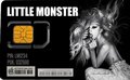 SIM card - monsterka-and-leonchii photo