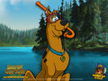 scooby-doo - Scooby Doo Camp Scare wallpaper