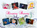 Sleeping Beauty Collage - disney fan art