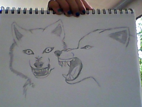  Snarling loups