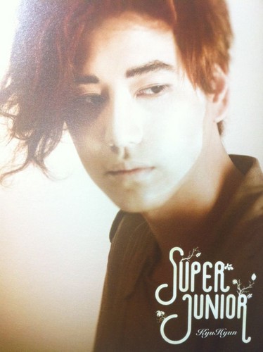  Super Junior S.M.A.R.T Exhibition cards
