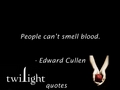 Twilight quotes 101-120 - twilight-series fan art