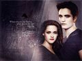 What do you live for? - twilight-series wallpaper