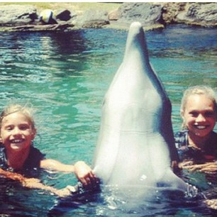  kenzie & maddie swimming with dolphins