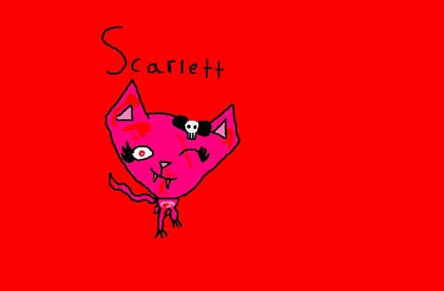  my evil cat Scarlett