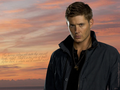 supernatural - riding off into the sunset wallpaper