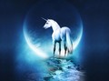 Moonlight Dreaming - unicorns photo