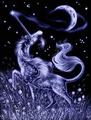 Midnight Magic - unicorns photo