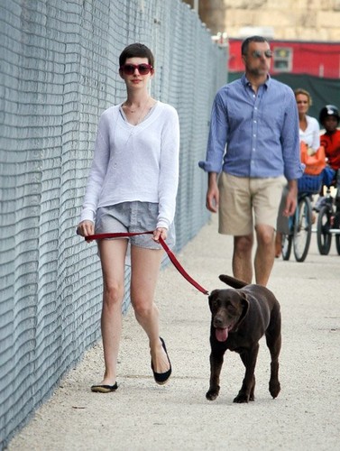  Anne walking her dog in NYC (August 24)